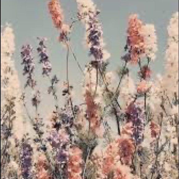 Meet your Posher, Kate - Picture 7 of 7